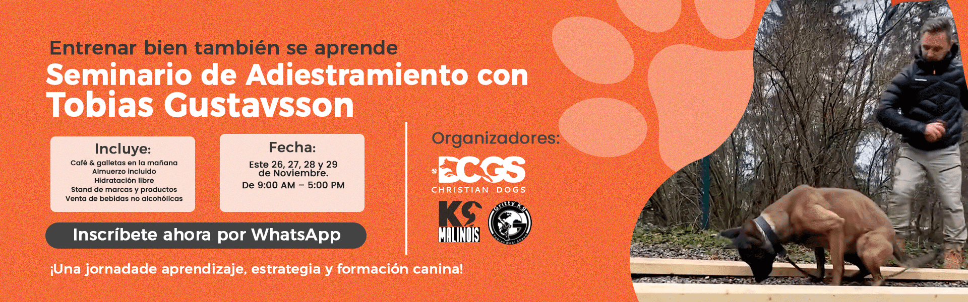 seminario deteccion
