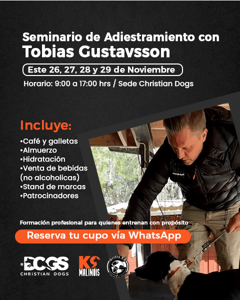 seminario deteccion