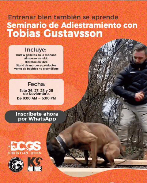 seminario deteccion